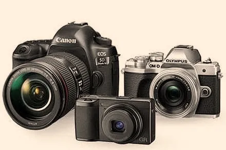 Jak wybrać najlepszy aparat do fotografowania ptaków?